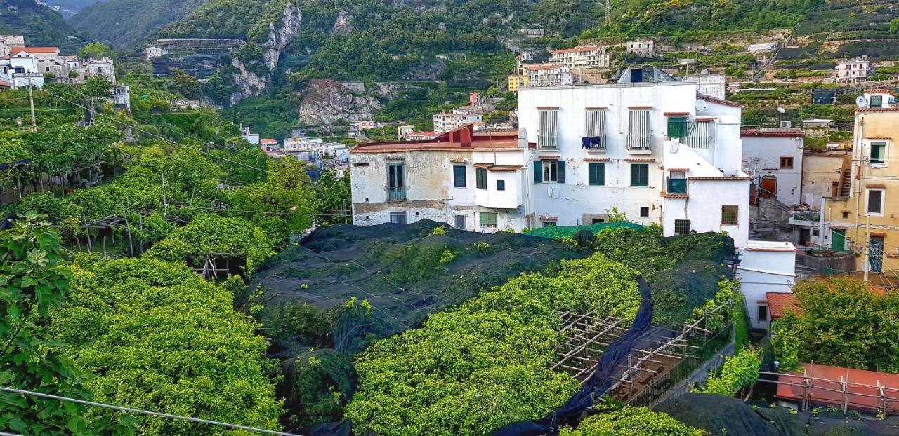 Il Limoneto Di Lulu, Holidays Among The Lemon Trees Minori Exterior foto