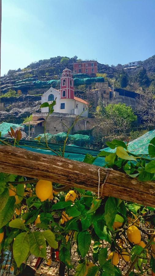 Il Limoneto Di Lulu, Holidays Among The Lemon Trees Minori Exterior foto