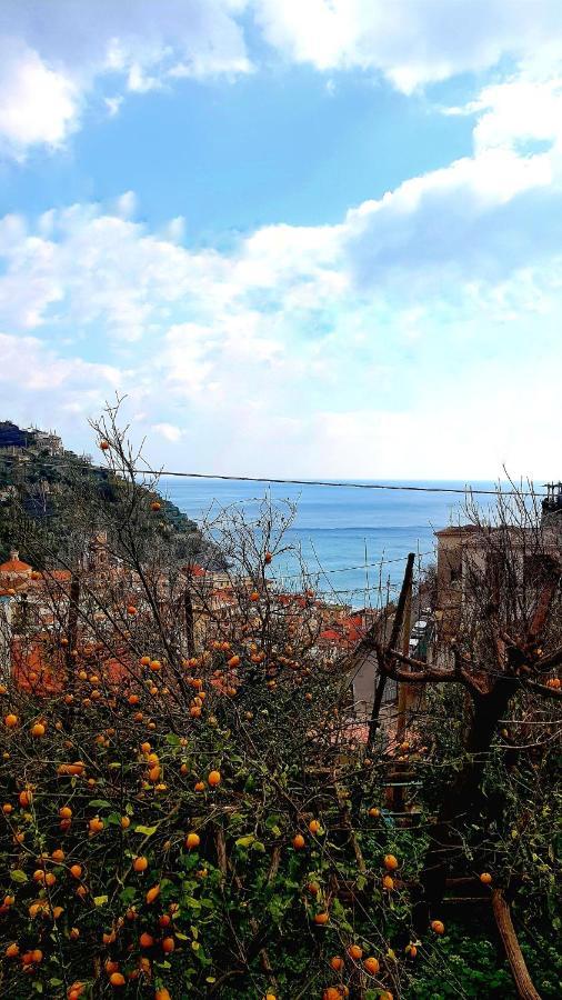 Il Limoneto Di Lulu, Holidays Among The Lemon Trees Minori Exterior foto